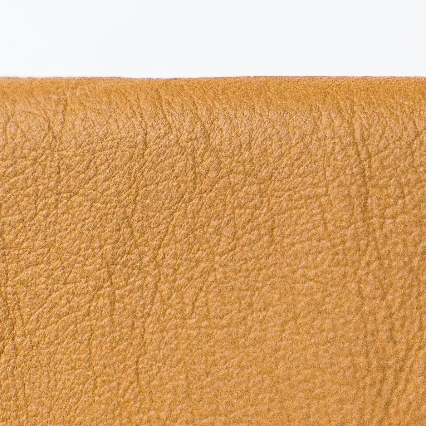 CARTERA BETT XL