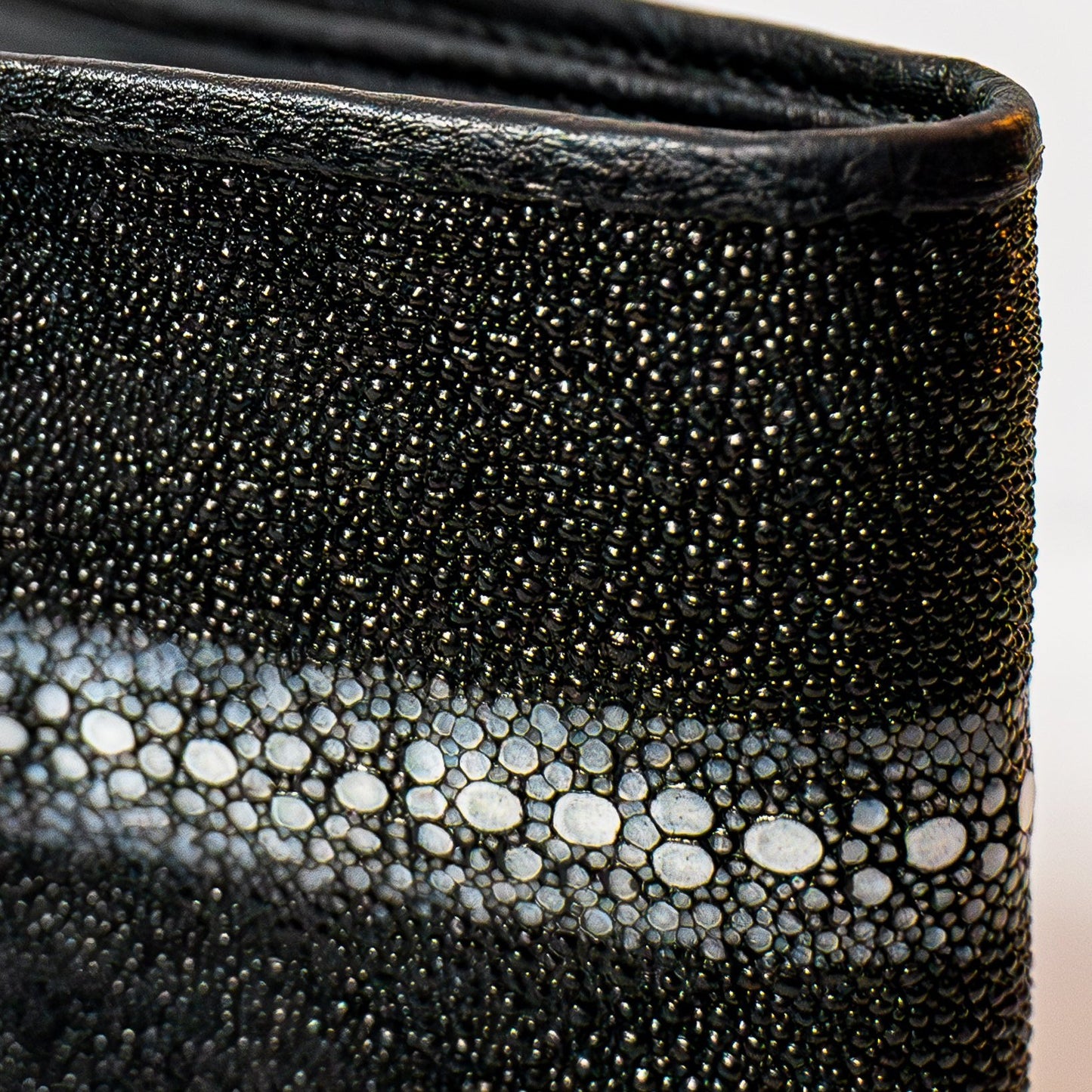 CARTERA BETT
